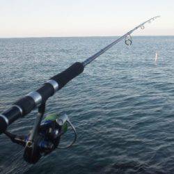ショアジギング釣行