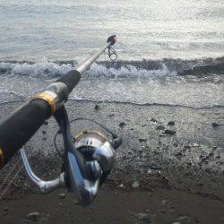 ショアジギング釣行
