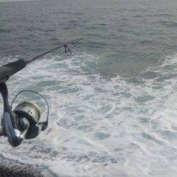 ショアジギング釣行