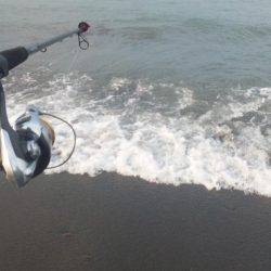 ショアジギング釣行