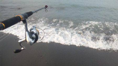 ショアジギング釣行