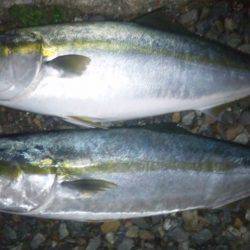 ショアジギング釣行