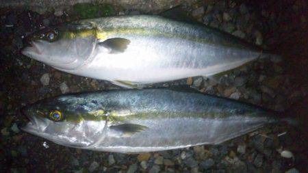 ショアジギング釣行