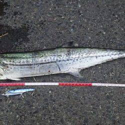 今だけの特別な時間