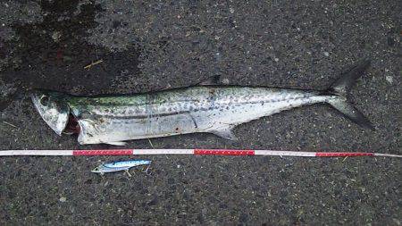 今だけの特別な時間