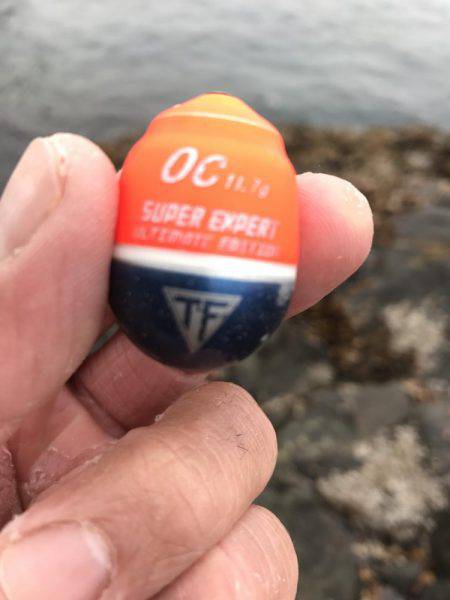 宇和島沖磯グレ