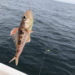 マイボート釣行