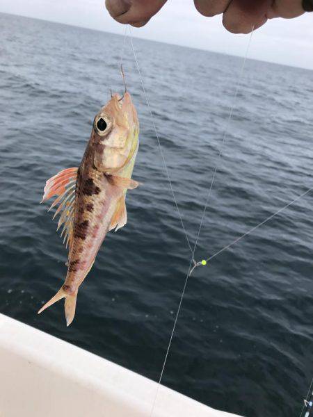 マイボート釣行