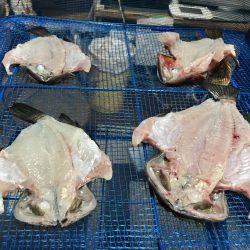 仕事帰りにメバリング