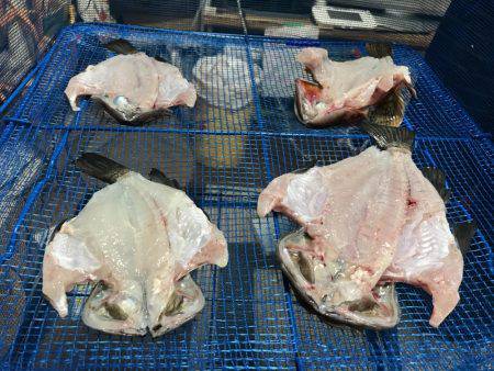 仕事帰りにメバリング