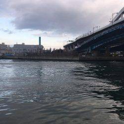 マイクロベイトパターン?