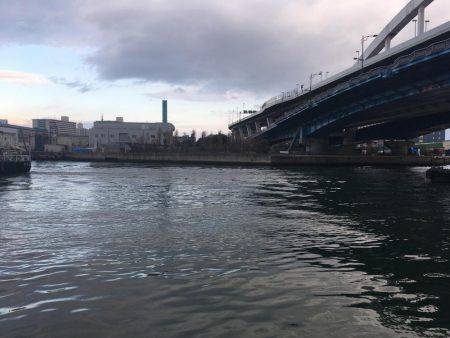 マイクロベイトパターン?