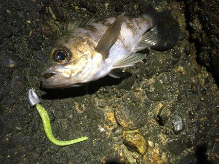 何てシブいんだ！