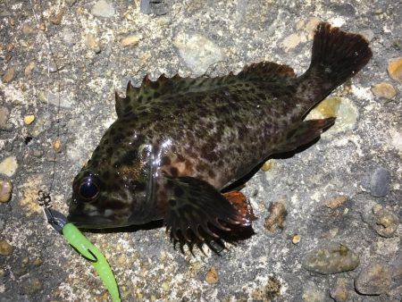 リベンジしかないッ！