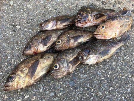 気力の続く限り！