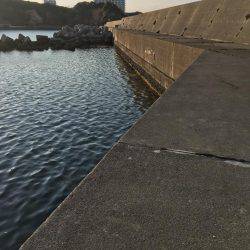 デイメバリング