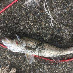 アウェイに出撃