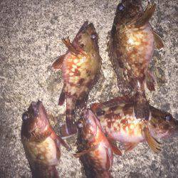 ライトライトライト