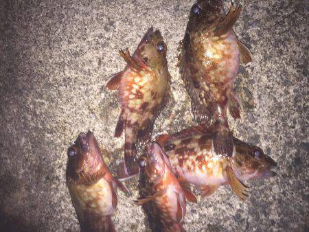 ライトライトライト