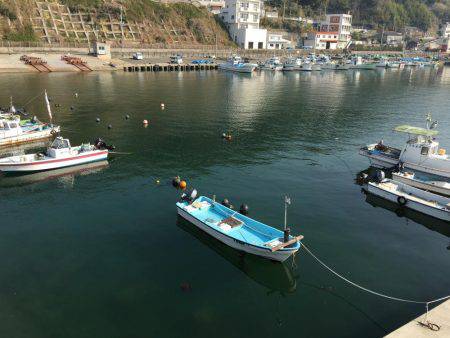 ガシラオンリー