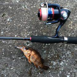 狙いのサイズが！