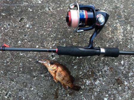 狙いのサイズが！