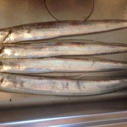 タチウオ〜フォー