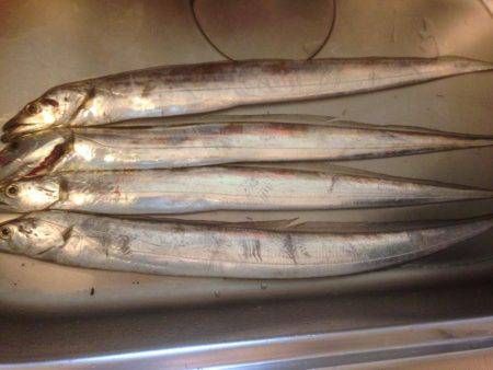 タチウオ〜フォー