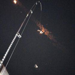 激渋チニングも2キャッチ