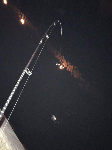 激渋チニングも2キャッチ