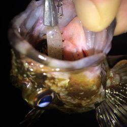 まづめのガシリング