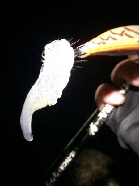 何とかボーズ逃れ