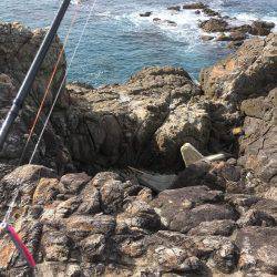 ハマチ狙いのはずがサワラ