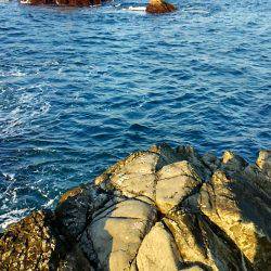 太地でグレ釣り