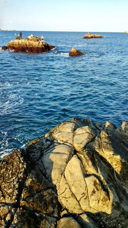 太地でグレ釣り