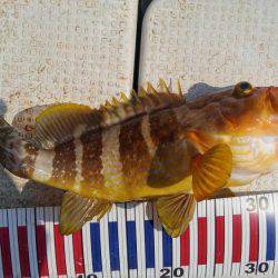 久しぶりに大満足