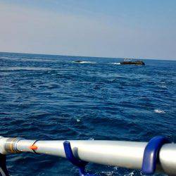 潮岬でグレ釣り