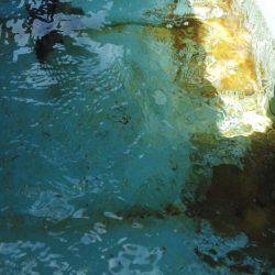 グレ不発でした・・