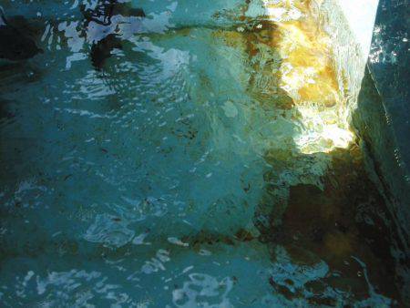 グレ不発でした・・