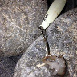 焼津　石津浜、ふぃっしゅーなで太刀魚