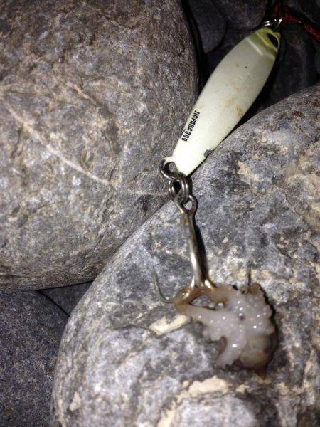 焼津　石津浜、ふぃっしゅーなで太刀魚