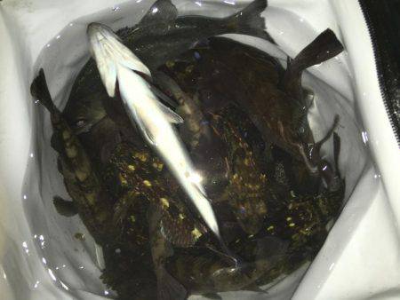 ドリフトメインに