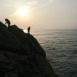 潮岬でグレ釣り