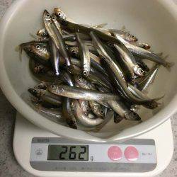 布目ダムのワカサギ、焼却場は渋め