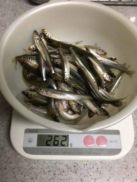 布目ダムのワカサギ、焼却場は渋め