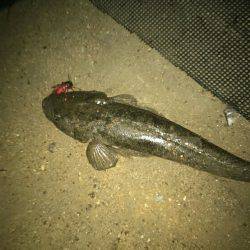 ホンマすっきゃねぇ~