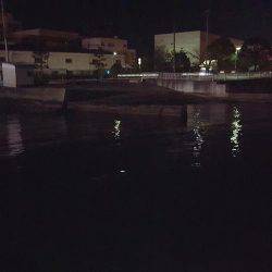 三寒四温の寒。