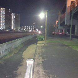 パラダイスらしい!?