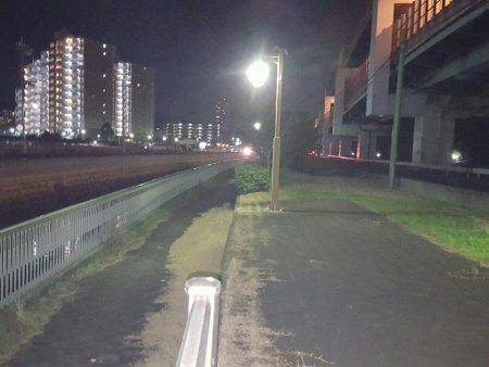 パラダイスらしい!?