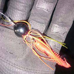 2夜連続チニング釣行in鳴尾